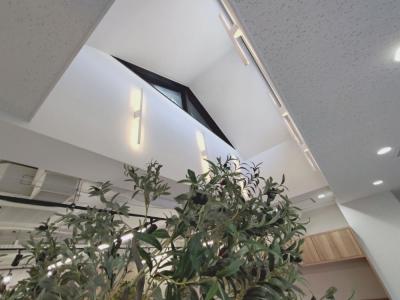 新宿区高田馬場のセットアップ物件(高田馬場駅徒歩3分、約15坪)
