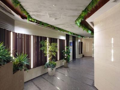 渋谷区神宮前のセットアップオフィス物件(明治神宮前駅徒歩4分、約95坪)